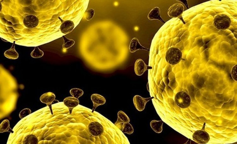 Update Corona Jumat 27 Maret : PDP Virus Corona Kaltim Bertambah 5 Jadi 70 Kasus, Positif Nihil