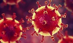 5 Tips Sederhana dan Efektif Agar Anda Terhindar dari Virus Corona