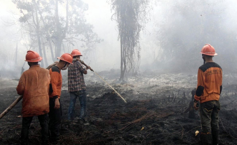 Korindo Group Bantah Lakukan Pembakaran Lahan Seluas Kota Seoul di Papua