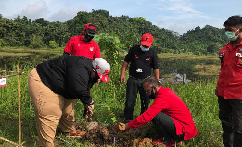 Rayakan Ultah ke-74 Megawati, Kader PDIP Kaltim Tanam Ribuan Pohon dukung Kelestarian Lingkungan