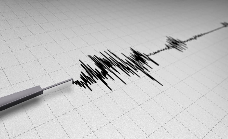 Gempa Guncang Berbagai Daerah Dalam Sehari, Termasuk Tapanuli Selatan dan Sukabumi