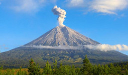 Gunung Semeru Erupsi, Sebaran Awan Panas Disebut Capai 7 Kilometer