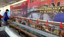 Menengok Peternakan Ayam dan Budidaya Ikan di Lapas Narkotika Samarinda