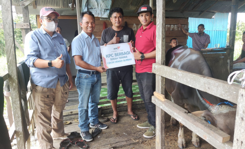 KPC Salurkan 57 Ekor Sapi dan 5 Ekor Kambing Qurban Idul Adha 1444H