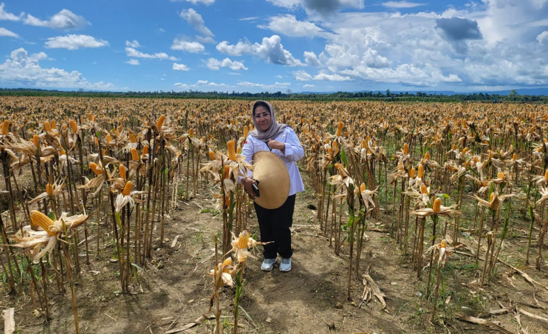 Food Estate Keerom Papua Diharap Memperkuat Ketahanan Pangan Nasional