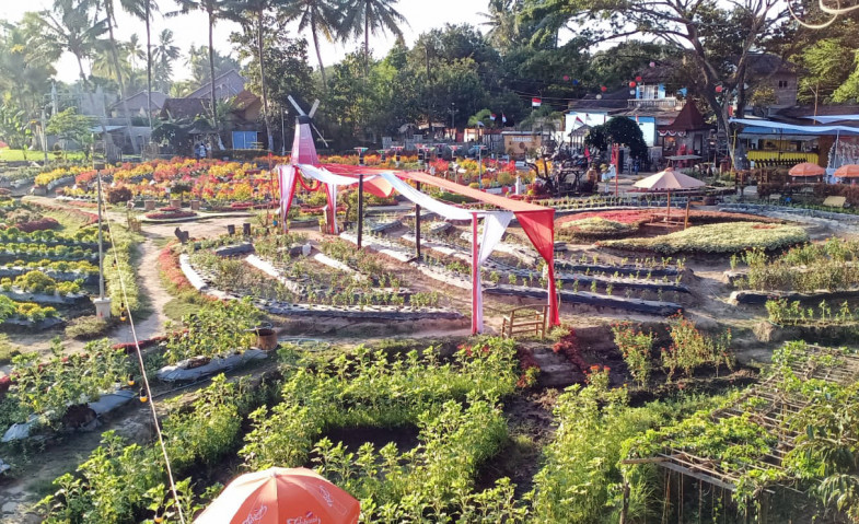 Menengok Keindahan Alam Agrowisata Sawah Kakung di Magelang