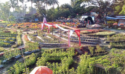 Menengok Keindahan Alam Agrowisata Sawah Kakung di Magelang