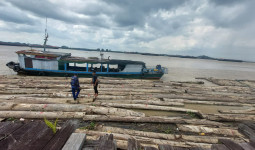 Menyelam Menggunakan Baskom, Seorang ABK Dikabarkan Tenggelam di Dermaga Palaran Samarinda