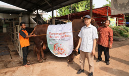 TelkomGroup serahkan lebih dari 1.000 hewan Kurban ke 7 Regional di Indonesia