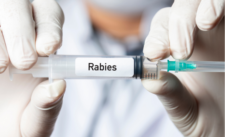 Waspada Penyebaran Rabies, Pemkot Samarinda Pastikan Stok Vaksin Cukup