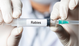 Waspada Penyebaran Rabies, Pemkot Samarinda Pastikan Stok Vaksin Cukup