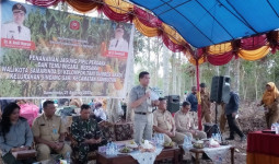 Jaga Ketersediaan Pangan Samarinda, Begini Strategi Wali Kota Andi Harun