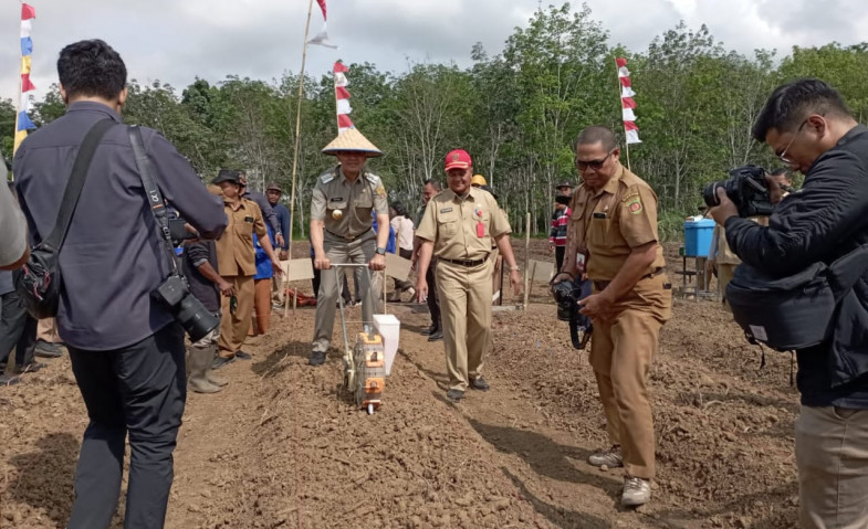 Wujudkan Ketahanan Pangan Samarinda, Andi Harun Pimpin Penanaman Jagung Pipil Perdana di Sindang Sari