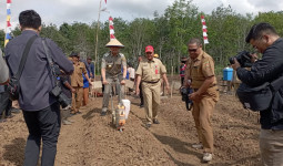 Wujudkan Ketahanan Pangan Samarinda, Andi Harun Pimpin Penanaman Jagung Pipil Perdana di Sindang Sari