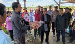 Bupati Ardiansyah Sulaiman Panen Raya Bawang Merah di Desa Manunggal Jaya