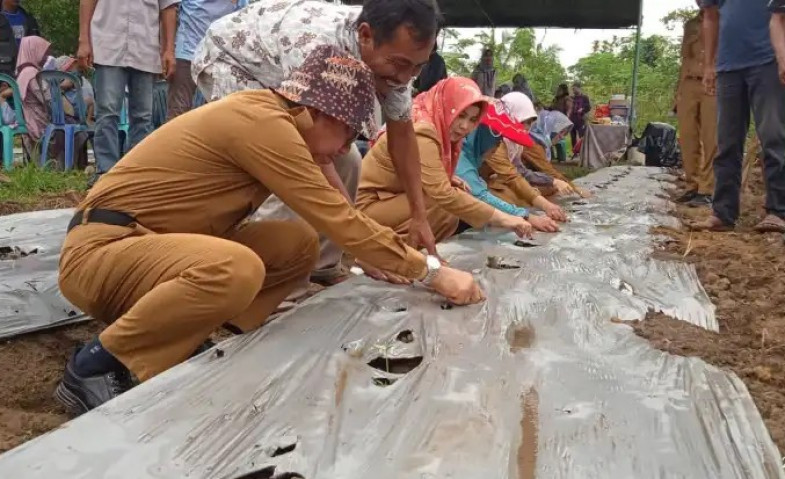 Kegiatan Tanam Raya Poktan PKS Disambut Antusias oleh Bupati Kutai Timur