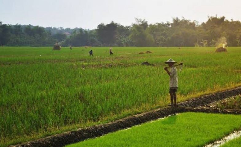 Sambut Perpindahan IKN, Pemerintah Desa Jembayan Kembangkan Sektor Pertanian
