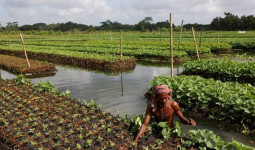 Gandeng Peneliti dari UGM, Bappeda Kukar Lakukan Riset Pembangunan Pertanian Berbasis Kawasan