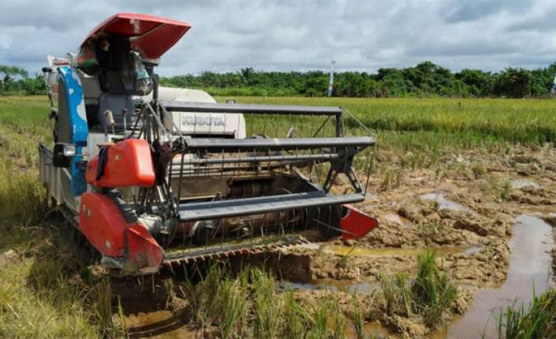 Kecamatan Muara Kaman Beri Dukungan Penuh untuk Kesuksesan Pembangunan Kawasan Pertanian Terintegrasi