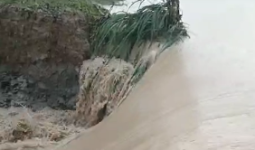 Banjir di Kawasan Lempake, BPBD Samarinda Bakal Tinjau Dugaan Tanggul Tambang Jebol