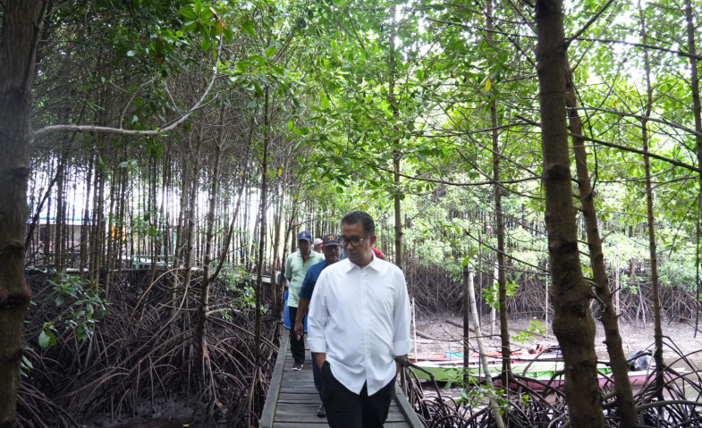 Dinilai Punya Potensi Wisata, Pj Gubernur Kaltim Akmal Malik Berencana Pindahkan Buaya Riska ke Konservasi Mangrove Kota Bontang