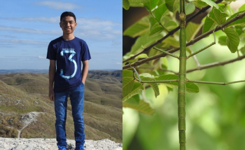 Hebat! Nama Pemuda Ini "Mendunia" Setelah Temukan Serangga Spesies Baru di NTT, Simak Kisahnya