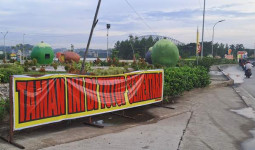 Taman Bebaya Samarinda Diserang Ulat Bulu, Pengendara sampai Polisi Gatal-gatal