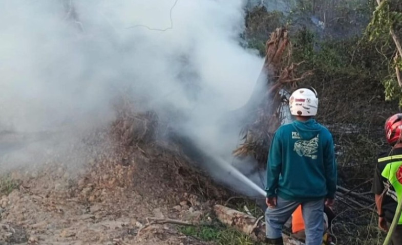 Lahan Satu Hektare di Samarinda Terbakar, Diduga Ada Kegiatan Pembukaan Lahan