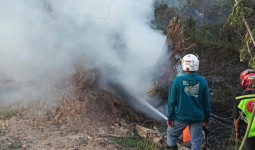 Lahan Satu Hektare di Samarinda Terbakar, Diduga Ada Kegiatan Pembukaan Lahan