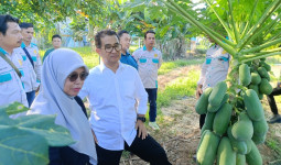 Usai Kunjungan di Balikpapan, Pj Gubernur Akmal Malik Optimis Pertanian di Kaltim Mampu Penuhi Kebutuhan Pangan di IKN