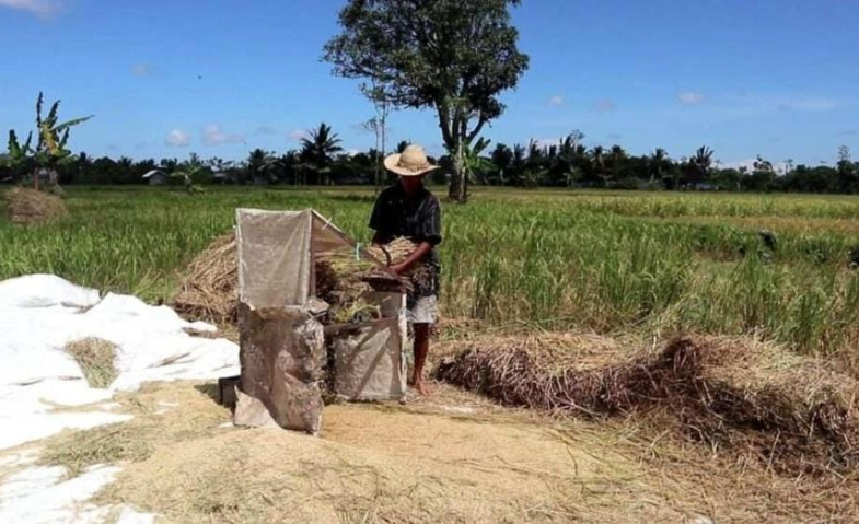 Wujudkan Kukar Lumbung Pangan IKN, Kecamatan Tenggarong Seberang Fokus Pengembangan di Sektor Pertanian
