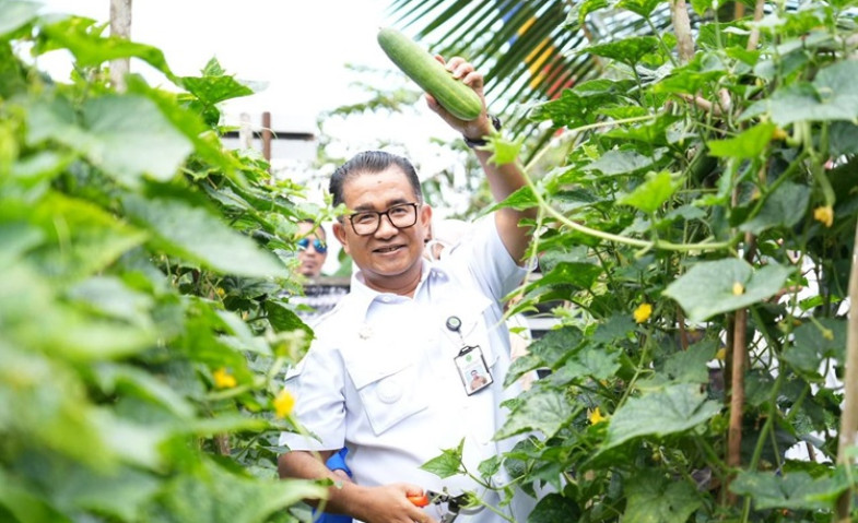 Pj Gubernur Kaltim Panen Perdana Tanaman Organik di Politani Samarinda