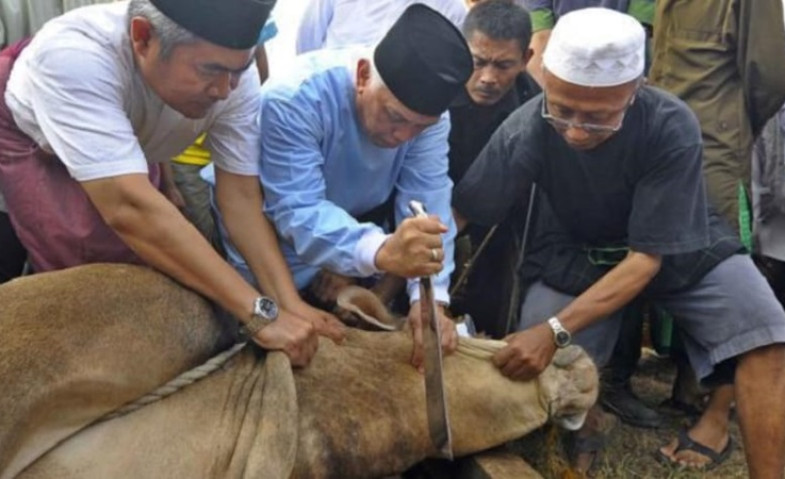 Solusi Cerdas Kelola Limbah Kurban Demi Lingkungan Bersih