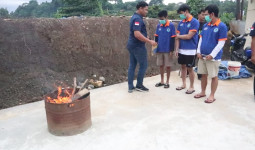 BNNP Kaltim Musnahkan Ganja Hasil Sitaan di Samarinda dengan Cara Dibakar