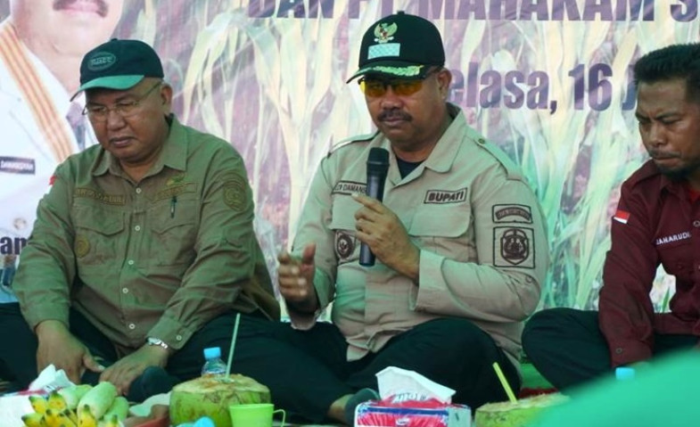 Bupati Kukar Dukung Penanaman Jagung di Eks Tambang Marangkayu Bersama Kelompok Tani Semoga Berkah