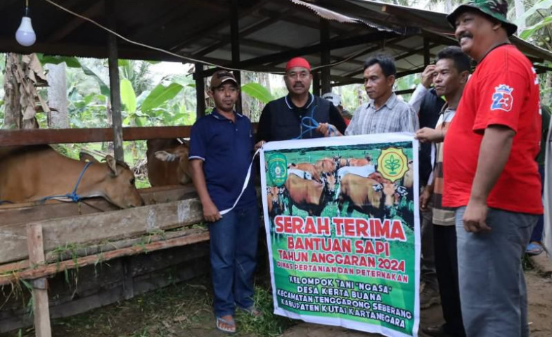 Bupati Kukar Edi Damansyah Serahkan 19 Ekor Sapi, Hasil Maksimal Kelompok Tani Ngasa