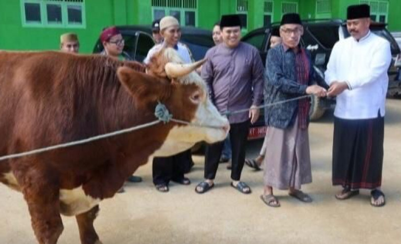 Bupati Kukar Edi Damansyah Serahkan Sapi Qurban ke Ponpes dan Masjid Agung