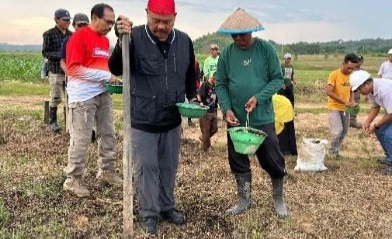 Bupati Kukar Edi Damansyah Tanam Jagung Hibrida di Lahan Eks Tambang, Upaya Ketahanan Pangan