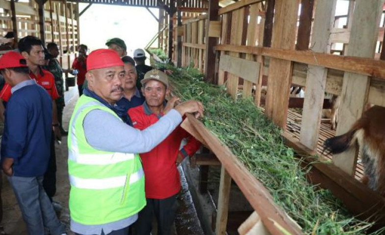 Bupati Kukar Serahkan 50 Ekor Kambing ke Gapoktan Desa Cipari Makmur