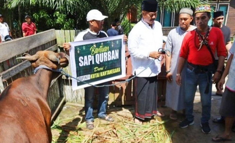 Bupati Kukar Serahkan Sapi Qurban Pribadi di Desa Perjiwa, Semangat Berbagi dalam Idul Adha 1445 H