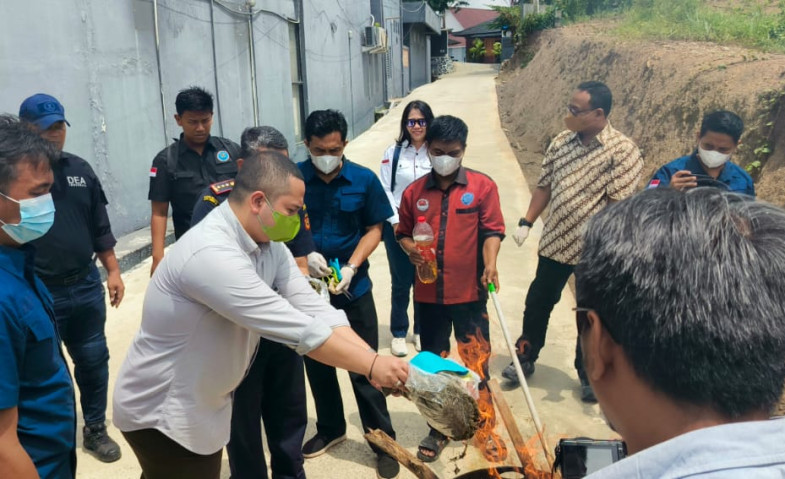 BNNP Kaltim Musnahkan 4 Kg Ganja Asal Medan yang Dipesan Pelaku dari Instagram