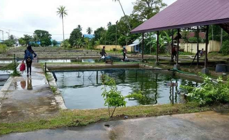 Minim Kontribusi Terhadap PAD Kukar, Pengelolaan BBI Perjiwa Akan Dibenahi