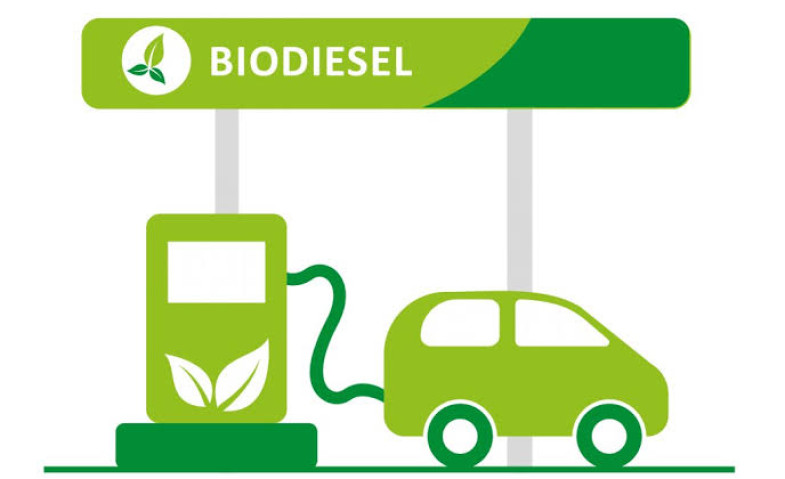 Akademisi Ingatkan Pemerintah soal Tantangan dan Roadmap Bio Solar