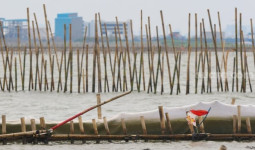 Mengenal Apa Itu HGB, Sertifikat yang Dikaitkan dengan Pagar Laut Misterius Tangerang