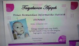 Sederet Fakta Unik Dinas Komunikasi Informatika Statistik, Nama Bayi Tak Biasa yang Lagi Viral