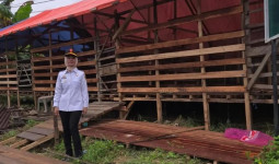 Jelang Idul Adha, Kasatpol PP Samarinda Ingatkan Aturan Kegiatan Usaha Penjualan Hewan Kurban
