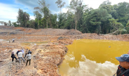 Unmul Desak Penegakan Hukum Tuntas di Kasus Perambahan Hutan KHDTK