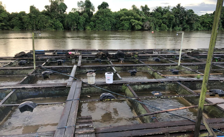 DKP Kukar Fokus Fungsikan Infrastruktur Perikanan, Bangun JT di Empat Kecamatan Pesisir