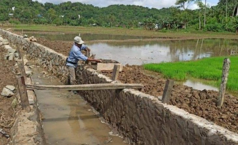 Harapan Petani Desa Segihan: Sistem Irigasi Baru untuk Dukung Dua Kali Panen