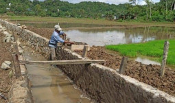 Harapan Petani Desa Segihan: Sistem Irigasi Baru untuk Dukung Dua Kali Panen